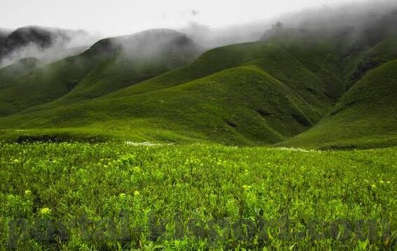 苹果足球即时比分-苹果设备上的足球即时比分神器，让你的观赛体验升级！