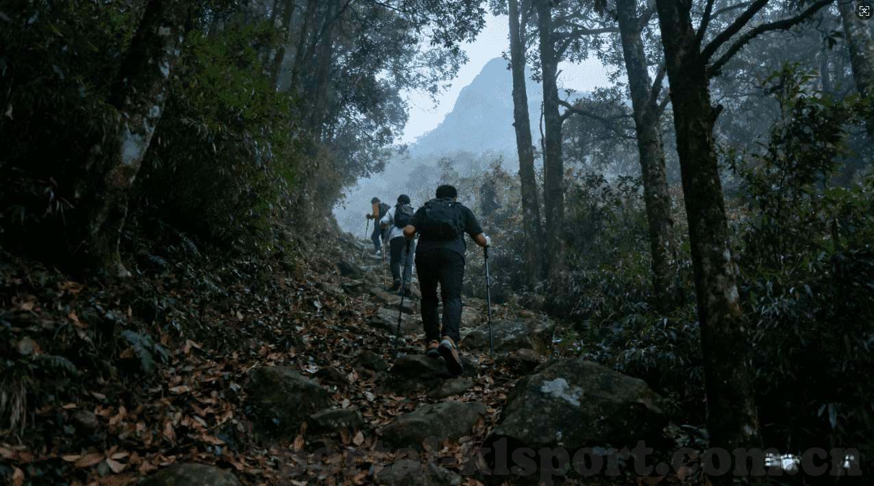 世界杯投注怎么压-世界杯投注策略，理性决策与风险管理
